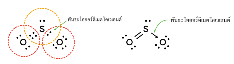 Lesson image