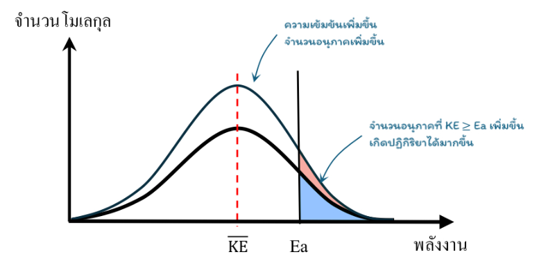 Lesson image