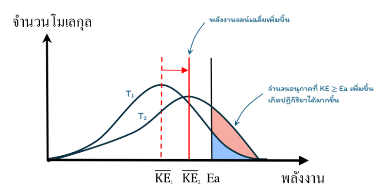 Lesson image