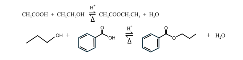 Lesson image